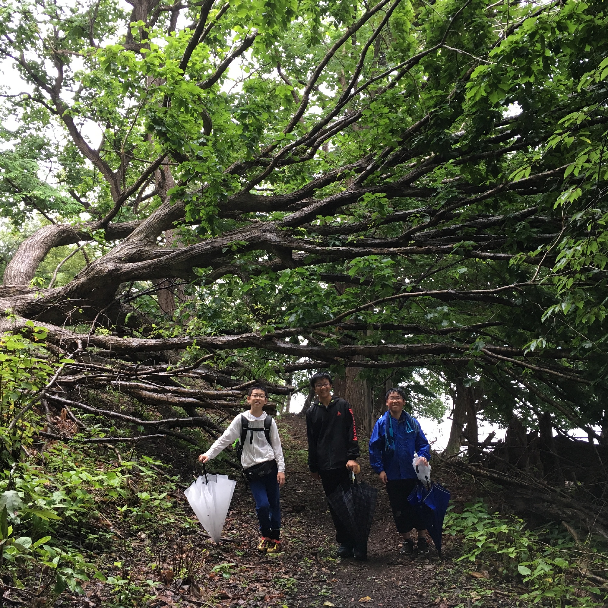 洞爺湖中島ウォーキング