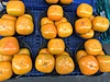 兵庫県産 柿