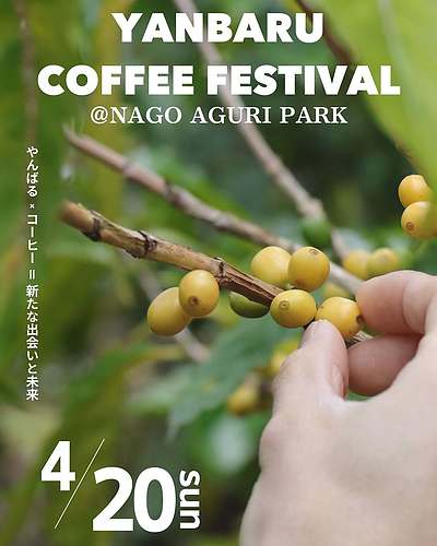やんばるコーヒーフェスティバル2025