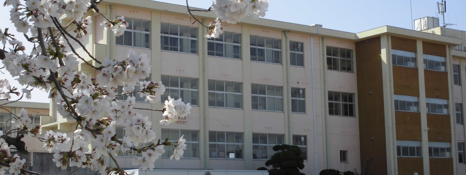 学校区：網干小学校／網干中学校