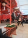 生田神社へ初詣で、獅子舞を見ました♪(^^)♪