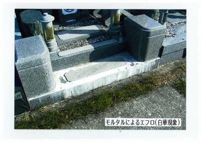 墓石の白華現象 1級お墓ディレクター 能島孝志 マイベストプロ神戸