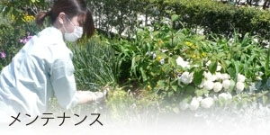 ガーデニング霊園内の植栽管理