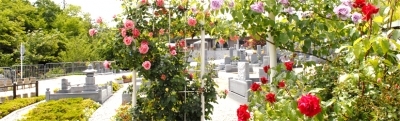 墓地の種類について④民営墓地/神戸新聞マイベストプロ神戸主催セミナー「お墓選びで知っておきたい5つのポイント」おさらい 