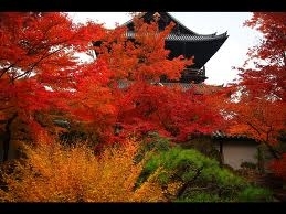 臨済宗・南禅寺派大本山「南禅寺」