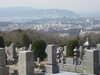 本日より『春の神戸市営墓地』募集開始！