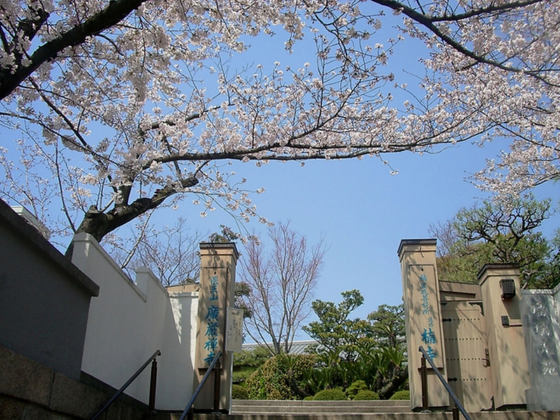 駅近の「楠寺・瑠璃光苑」の永代供養付き合葬墓