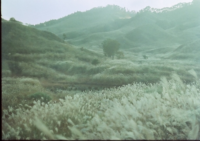 砥峰高原