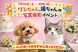 家族の一員、ちゃんと写そう