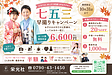 七五三撮影始まっています。