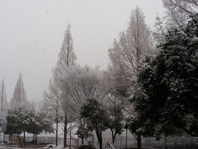 2013年1月　雪化粧の妙法寺
