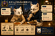 174【不動産投資】FIRE後10年の答え合わせ　45歳と55歳　動画6分
