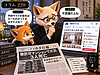 227【マンスリーマンション】予約サイトに質問してみた　自己申告だけで大丈夫？　予約サイトにできること