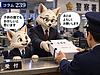 239【マンスリーマンション】警察への告発を準備　24ページの「告発状案」