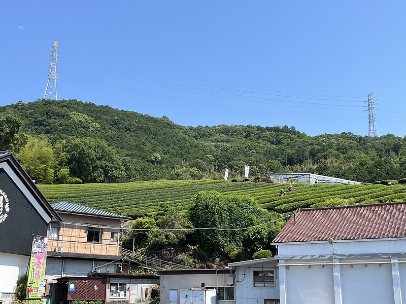 関西マテ・ハン会　夏季研修旅行　（熱海市