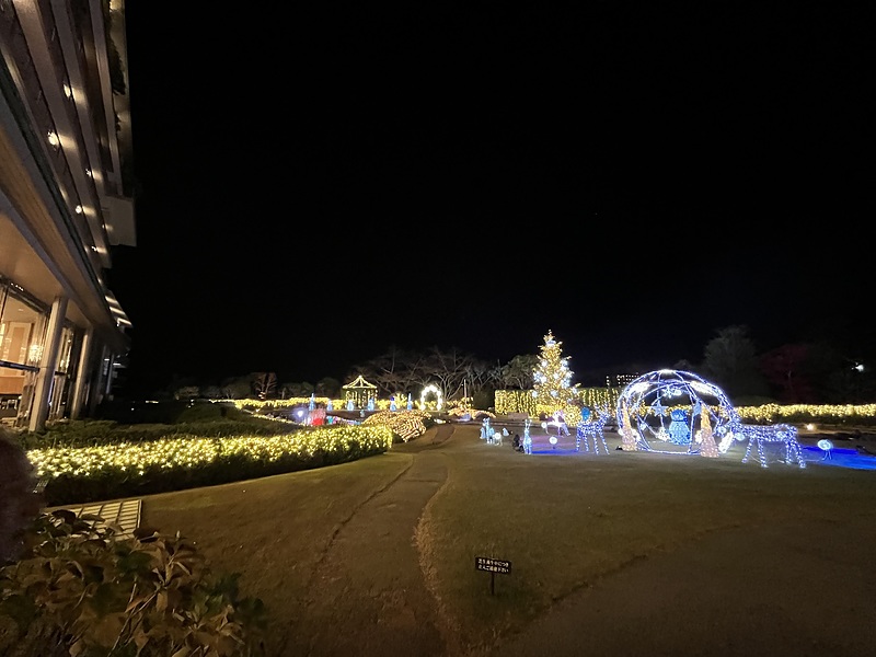 2025年11月「関西マテ・ハン会」総会開催