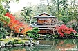 秋の京都でお待ちしています