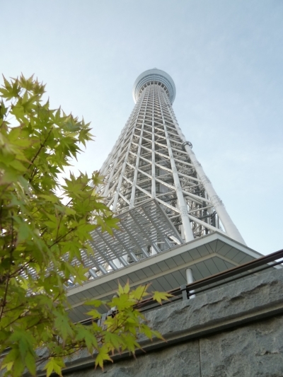 東京スカイツリー①