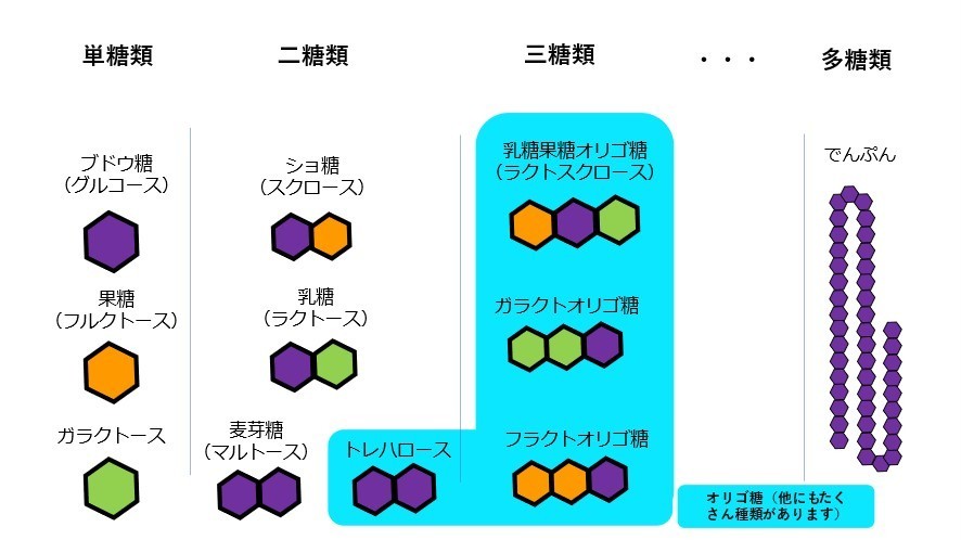 オリゴ糖とは 前編 オリゴ糖と砂糖の違いをご存じですか 内科医 松田友和 マイベストプロ神戸