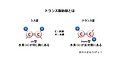 脂質を知る　～脂質と健康～ 後編