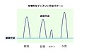 インスリン治療の実際 ～前編：インスリン分泌を知る～