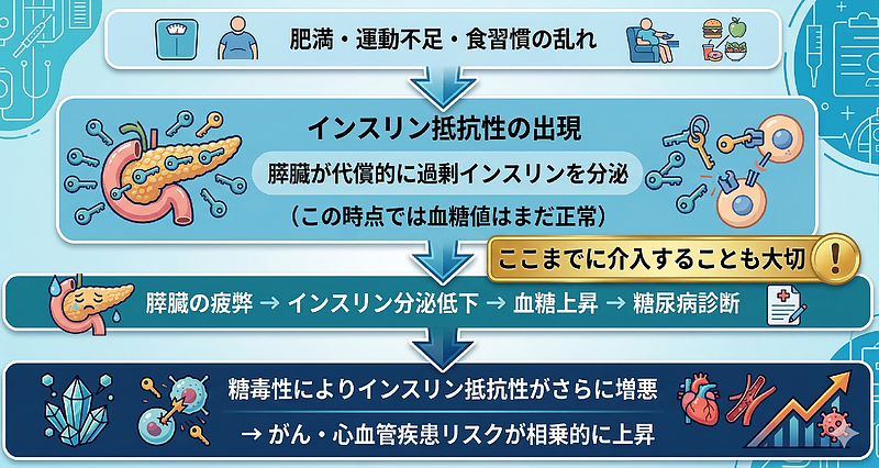 がんとインスリン抵抗性
