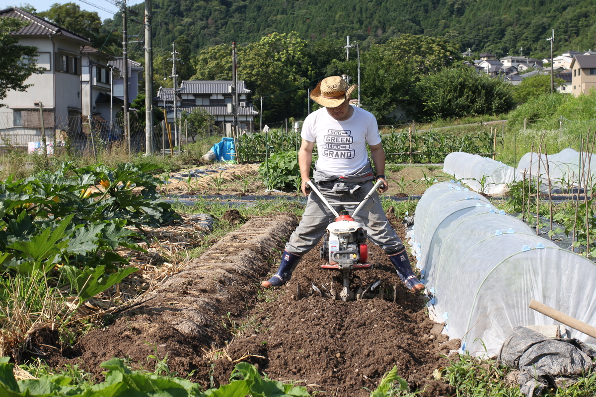 丹精込めて安全な野菜作り