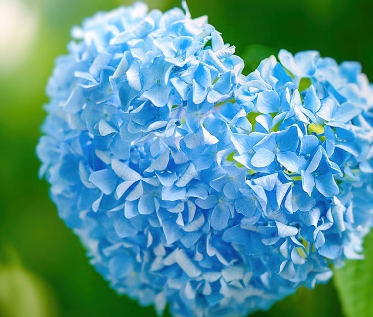 30代成婚カップル