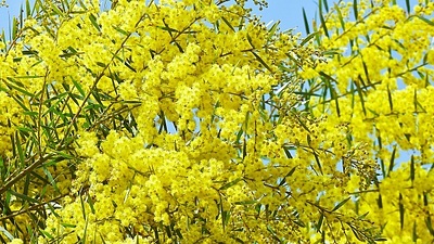 「結婚したらキャリアはどうなる？」不安を抱えるあなたへ