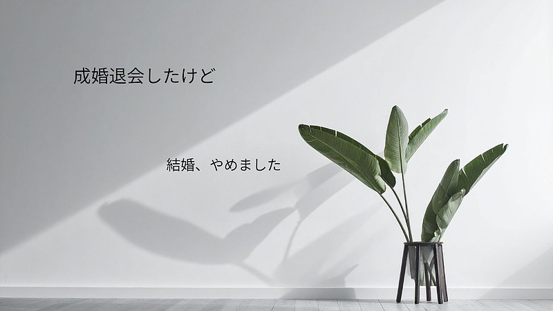 成婚退会したけど結婚やめました 成婚退会したけど結婚やめました