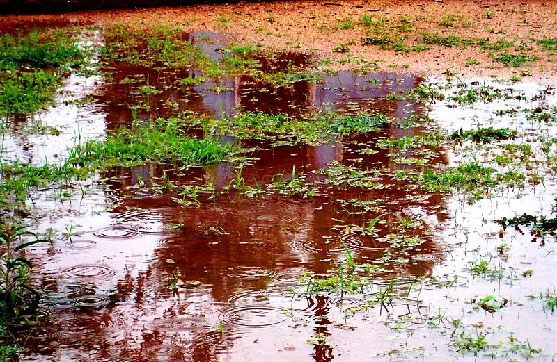 雨