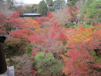 京都の紅葉ー1