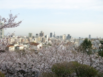 神戸の住宅地遠景