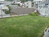 屋上緑化、屋上庭園。実際に5年住んでみました。