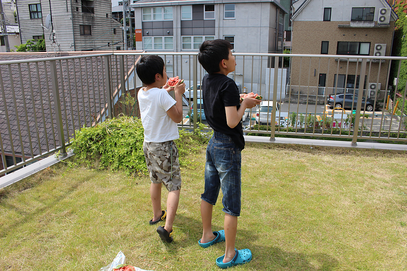 屋上庭園でスイカ割り