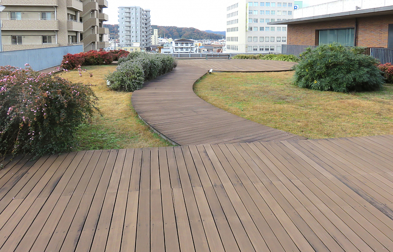 屋上庭園