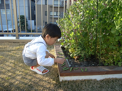 山本通の住宅。