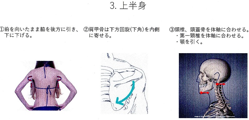 きれいな立ち方3