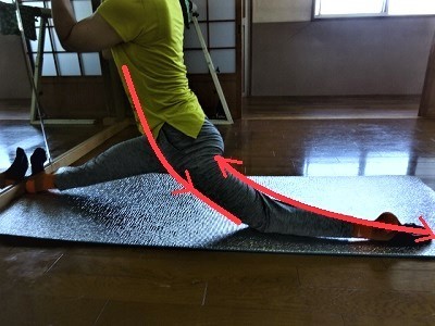 体幹からのつながり