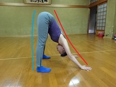 立位体前屈の反りとむくり