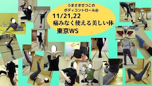 ①11/21，22東京WS