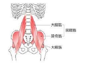 腸腰筋