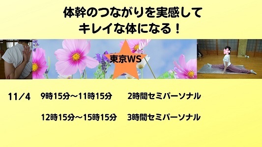 11/4東京WS体幹のつながりでキレイな体になる