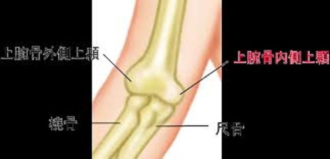 上腕骨内側上顆