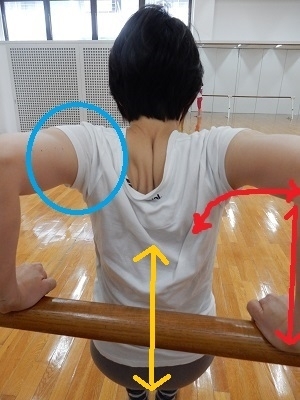 体全体につながる肩甲骨3
