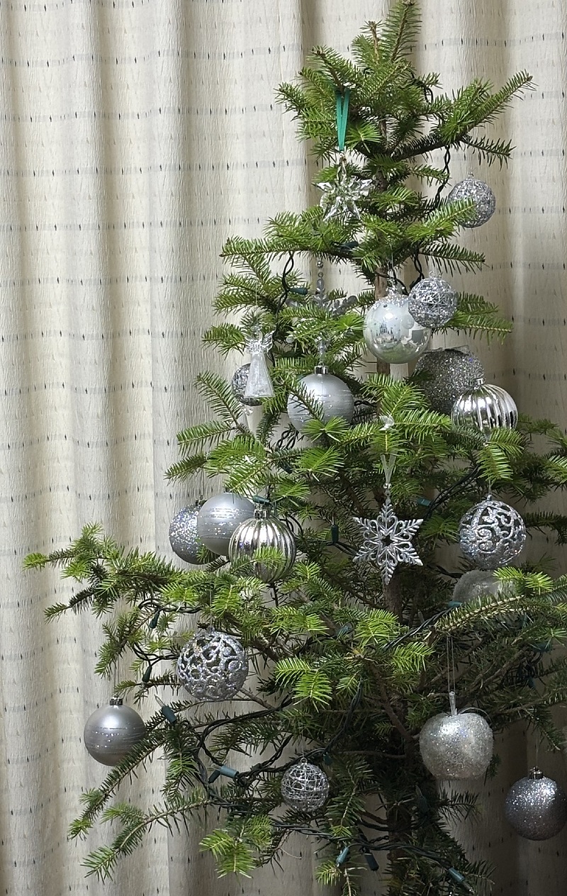 クリスマスツリー　2025