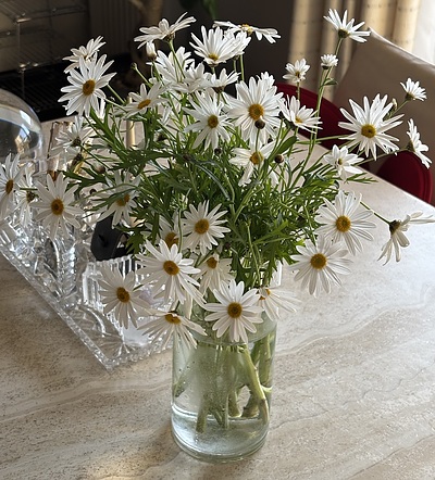 立春の過ごし方　話し方・マナー講師永田之子