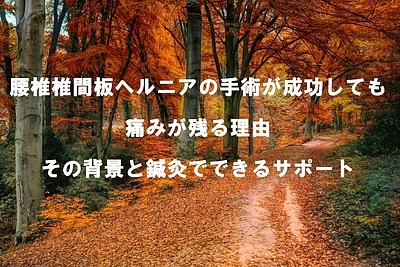 腰椎椎間板ヘルニアの手術が成功しても痛みが残る理由 ― その背景と鍼灸でできるサポート