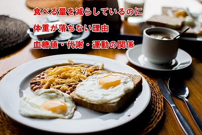 食べる量を減らしているのに体重が落ちない理由｜血糖値・代謝・運動の関係