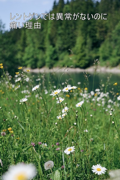 レントゲンでは異常がないのに痛い理由